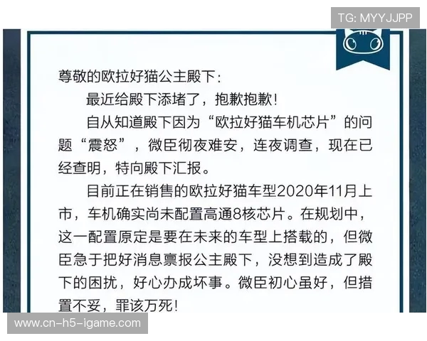重庆与武汉排球队赛后复盘分析团队配合与战术执行的关键因素
